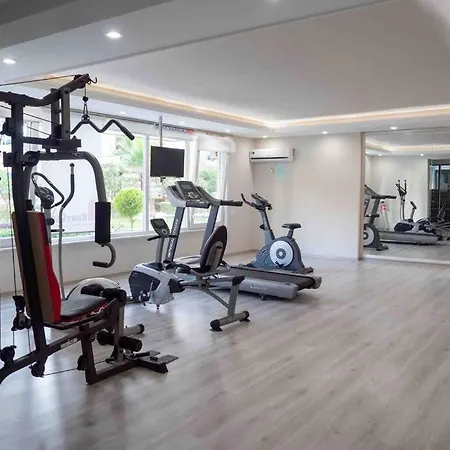 Kurt Safir Euro *